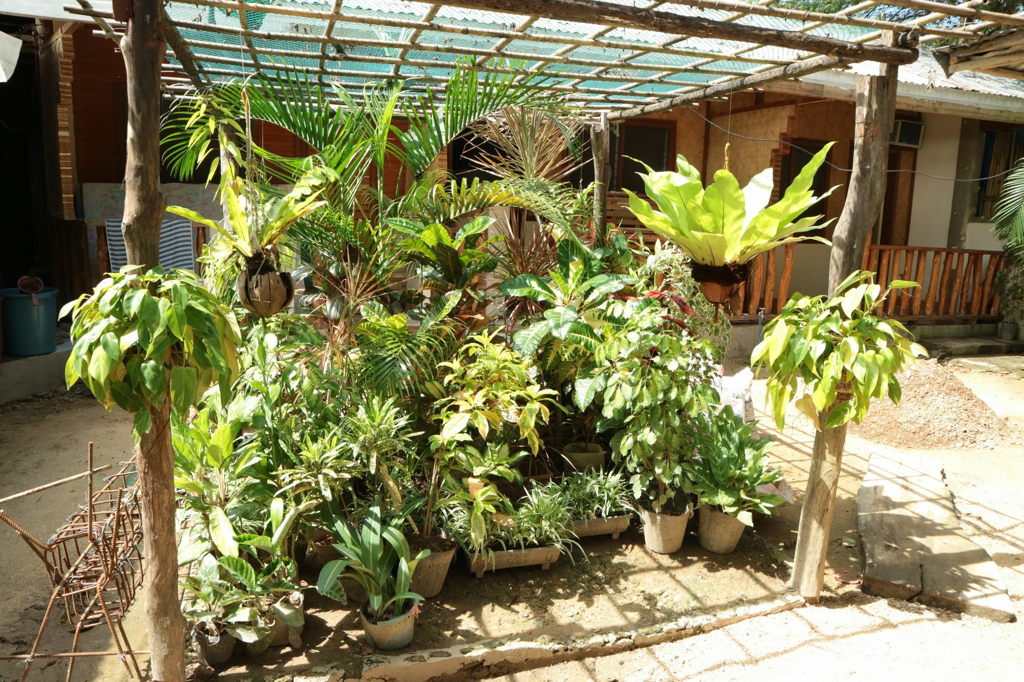 Sannie Pension El Nido Buitenkant foto